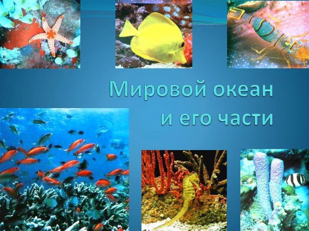 Части океана 5 класс. Части мирового океана. Составные части мирового океана. Выучить части мирового океана. Крупные части мирового океана.