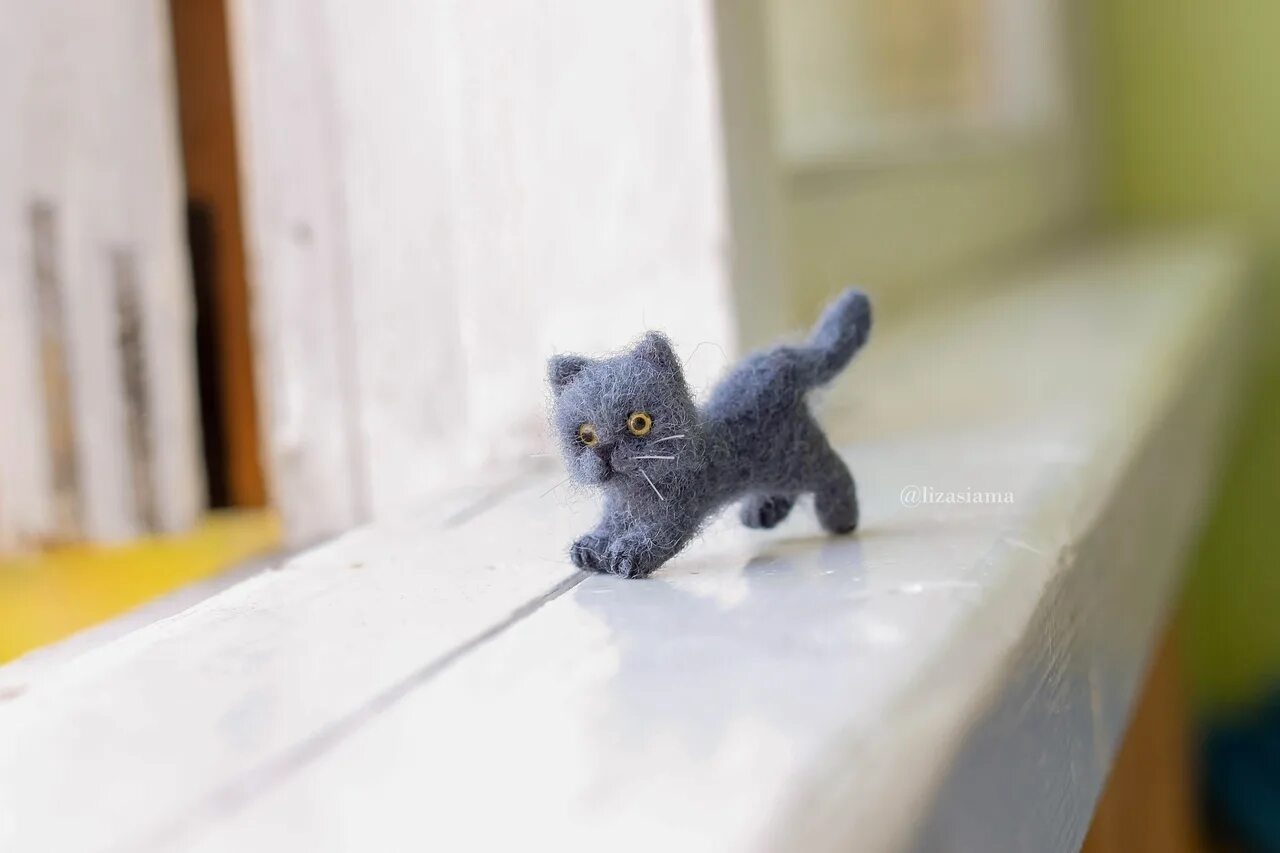 Микро котенок. Микро кот мем. Кошка миниатюра. Микро вязаные игрушки. Микро кот.