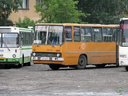 Вологда фетинино автобус