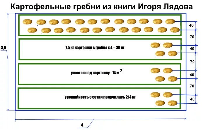 Между рядами сколько