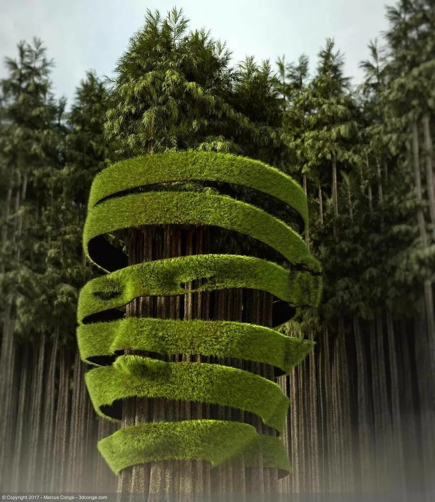Nature работа. 3д работы. роботи природа. объединение с природой. nature works.