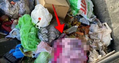 Кто рылся в мусорном ведре