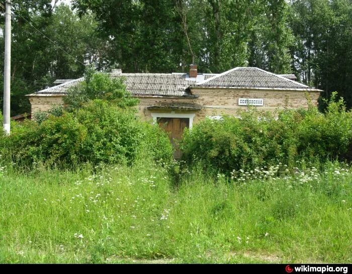 Воронежская есипово терновского. Село есипово воронежская область. Село есипово терновского. Есипово воронежская область. Село есипово терновского.