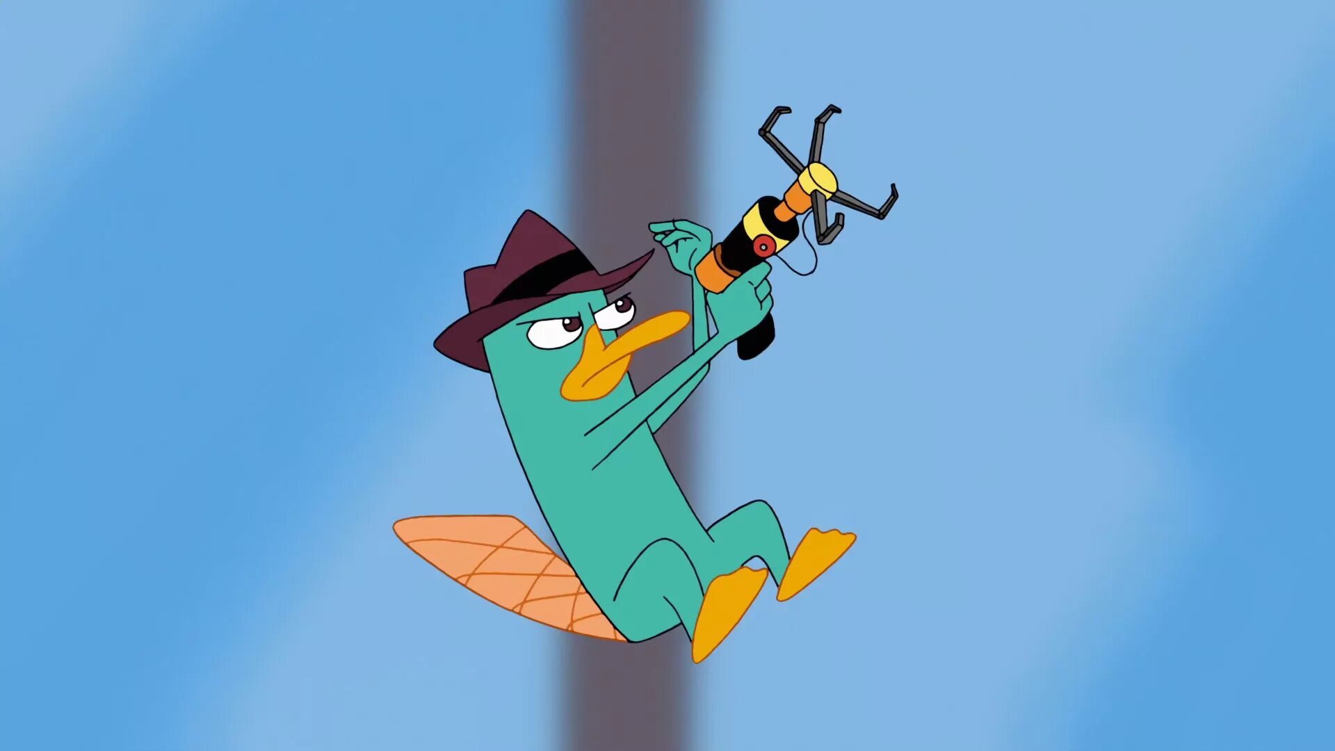 Утконос перри утконос. Агент перри утконос. Перри-утконос. Финес и ферб перри. Агент перри утконос.