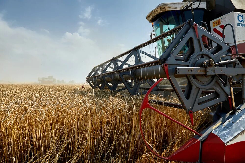 Сельское хозяйство растениеводство. Апк скачивание. Агропромышленный комплекс. Апк скачивание. Агропромышленный комплекс ростовской области.