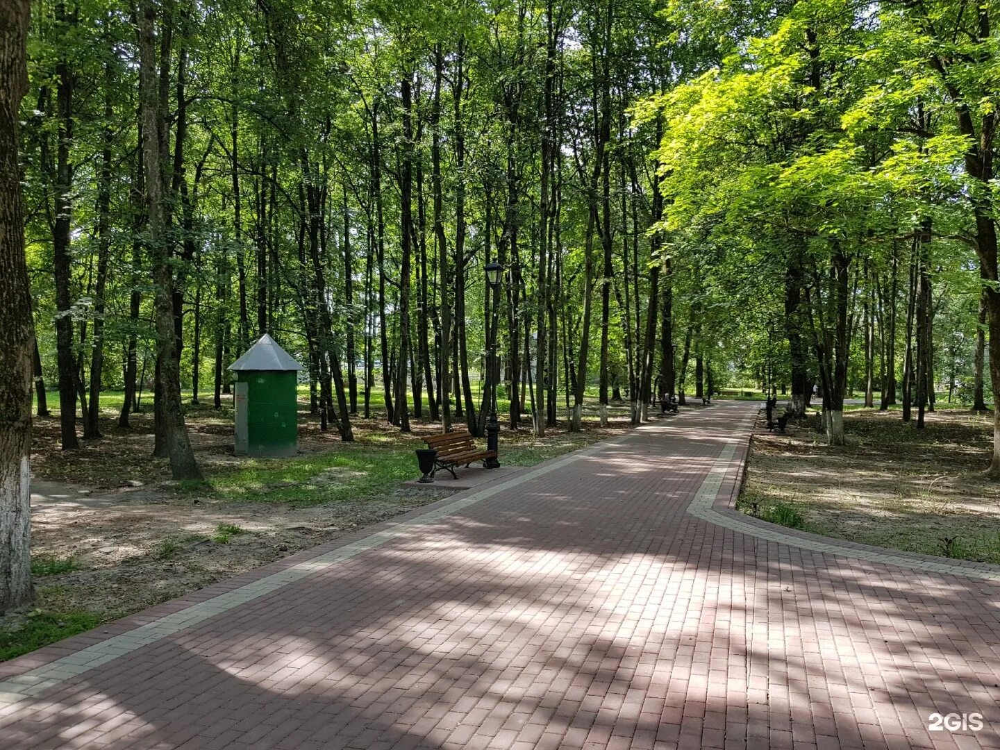 Ковид в брянске. Парк соловьи Брянск. Парк имени Пушкина Брянск. Брянск парк им Горького. Сквер Пушкина Брянск Володарский район.