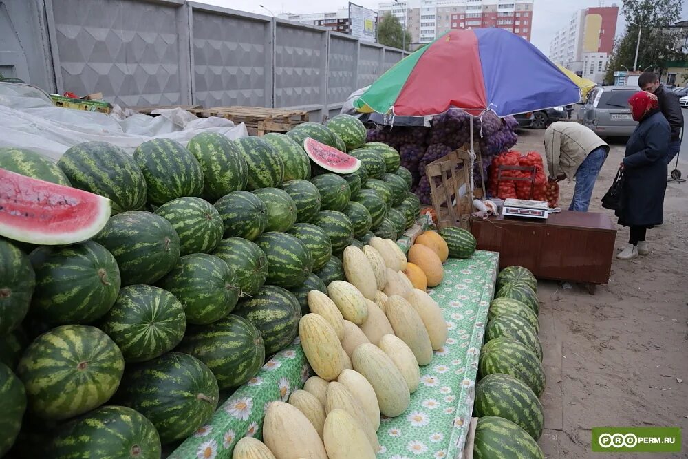 Как продать арбузы. Палатка с арбузами. Рынок прилавок с арбузами. Базар с арбузами. Арбузный рынок.