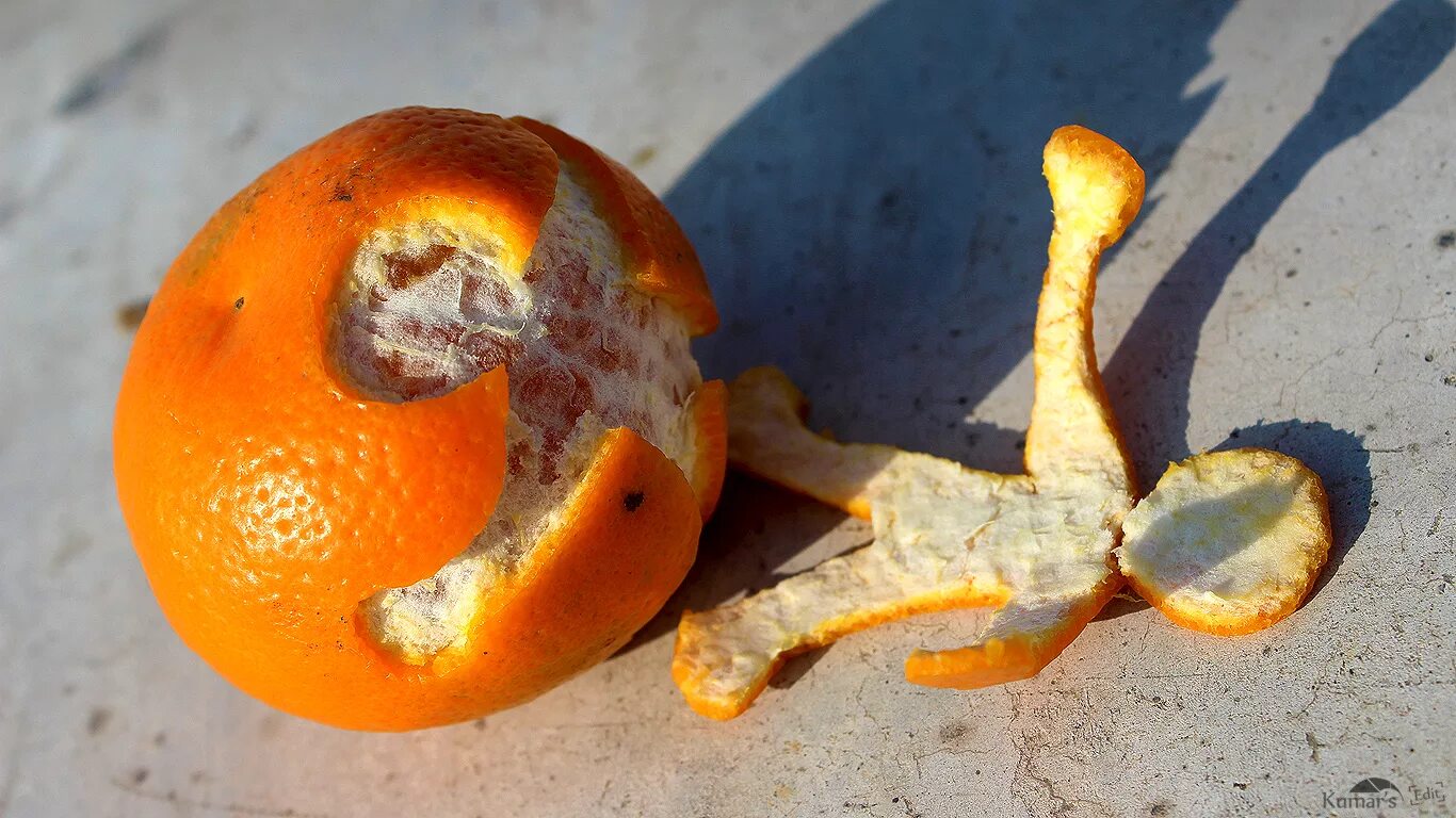 Кожура апельсина. Гнилой апельсин. Корка апельсина. Кожура цитрусовых плодов. Сухие корки мандаринов