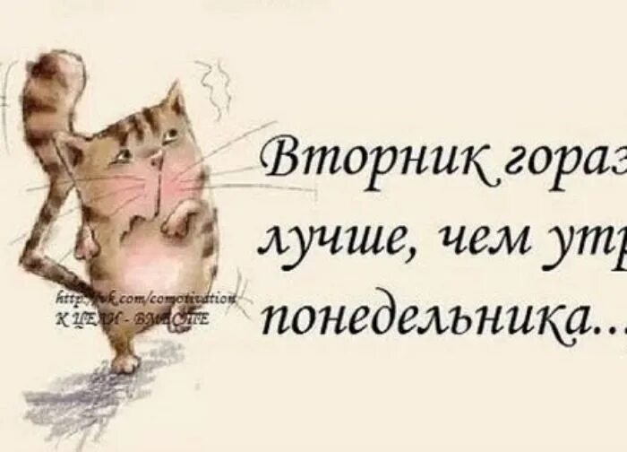 Прикольные фразы про вторник. И что только вторник картинки. Открытки с добрым утром вторника. Вторник картинки прикольные. Начать со вторника.