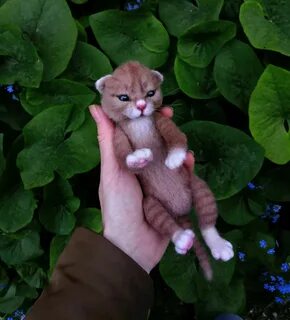 Персик животное