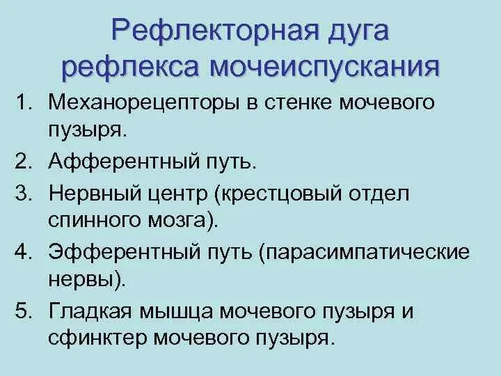 Центр рефлекса мочеиспускания. Дуга рефлекса мочеиспускания. Рефлекторная дуга мочеиспускания. Звенья рефлекторной дуги акт мочеиспускания. Рефлекс мочеиспускания физиология.