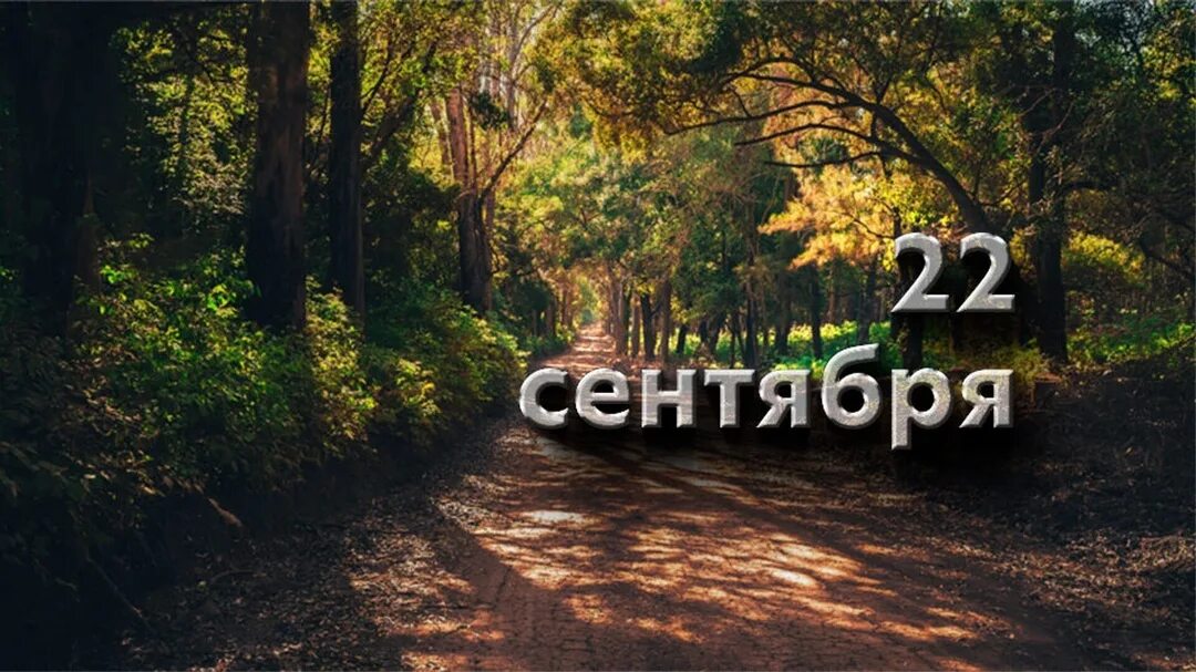 378 сентябрь