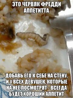 Червяк в штанах