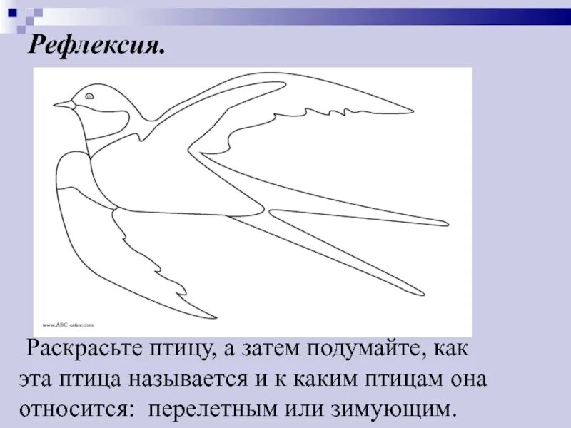 Рефлексия с птицами. Перелетные птицы задания для детей. Ласточка задания для детей. Перелетные птицы задания для дошкольников.