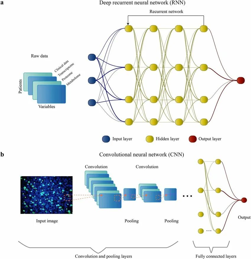 Hostile neural networks гайд. Структура нейросети. нейронные сети инфографика. neural networks and deep learning. майкла нильсена «neural networks and deep learning.