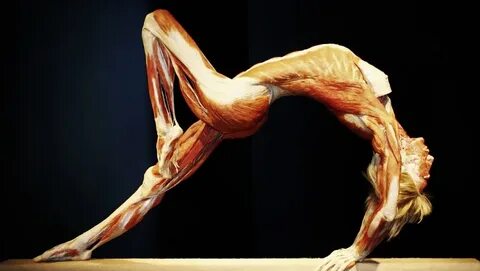 Тела bodies отзывы