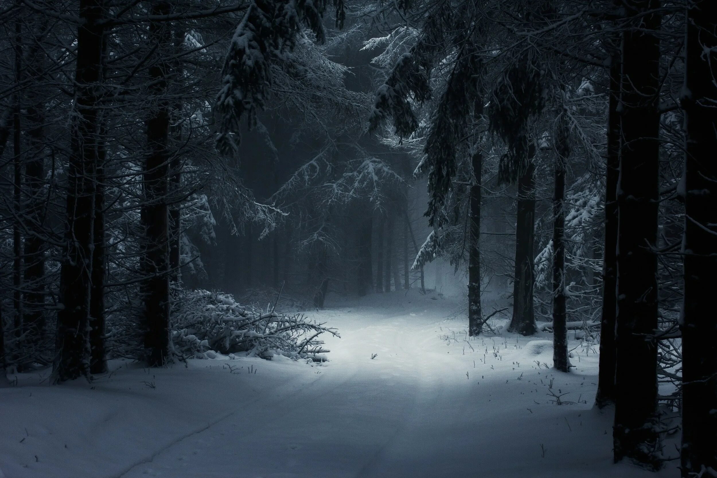 Темнота зимнего утра скрывала и площадку. Зимой в лесу. Снежный лес ночью. Лес снег ночь. Мрачный зимний лес.