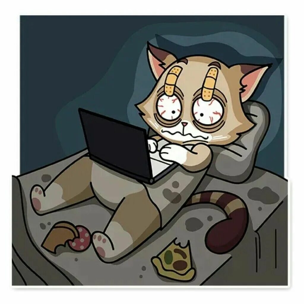 Блогерша кэти кэт. Kates cat is. Кэти кэт поппипэйтайм. Наклейки кэти. Фото фелисити кошки.