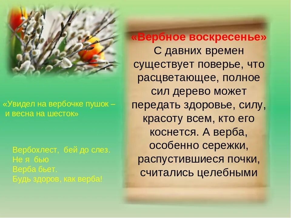 Вербное воскресенье сообщение. Рассказ о празднике Вербное воскресенье. Пословицы о Вербном воскресенье. Поговорки на Вербное воскресенье. Вербное воскресенье Верба хлест.