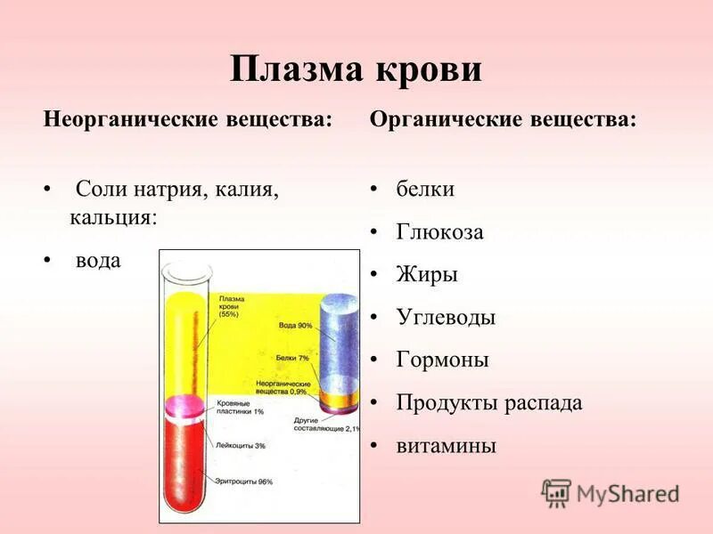 Что содержит плазма крови