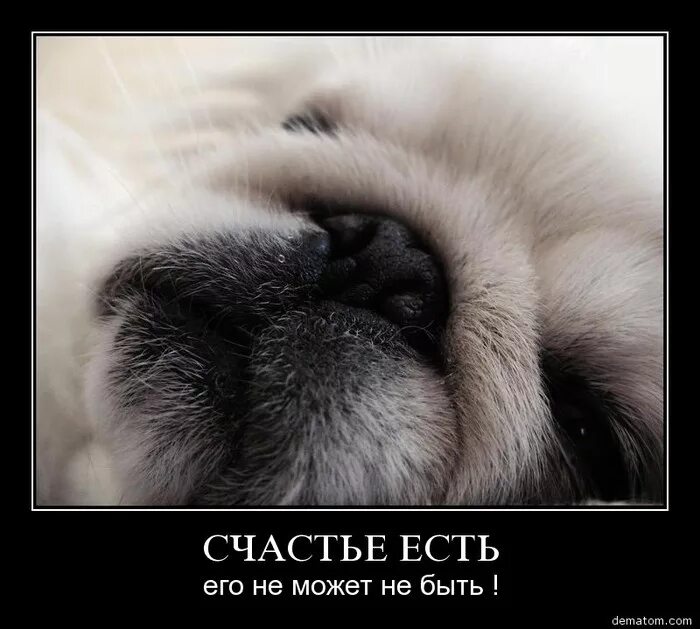 Счастье есть его не может быть. Счастье есть. счастье есть его не может не быть. что может быть счастьем. счастье есть есть.