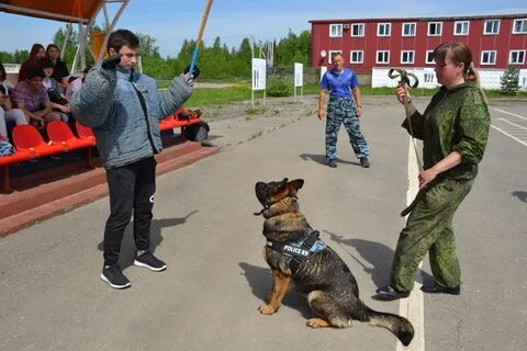 Кинологический центр