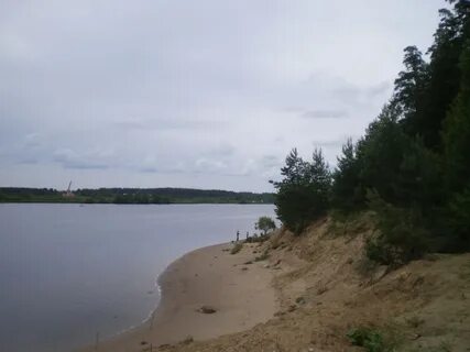 Волга кимры