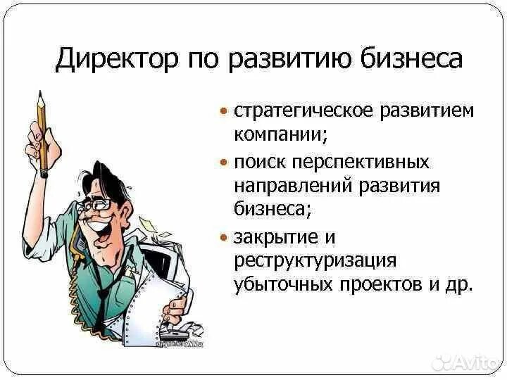 Должность директор по развитию. Функционал директора по развитию. функционал директора по развитию компании. руководитель по развитию бизнеса обязанности.