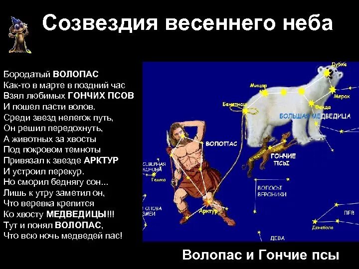 Весеннее созвездие рассказ 2 класс окружающий мир. Созвездия весеннего неба Волопас. Созвездие Волопас Легенда для детей 2. Созвездия весеннего неба 2 класс Волопас. Волопас и гончие псы.