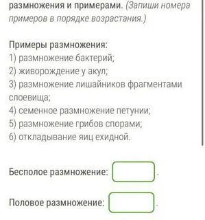 Установите соответствие между способами питания