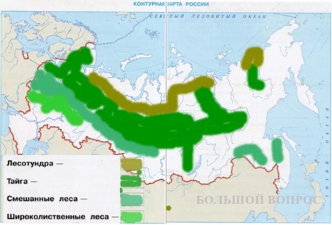 Зона тайги смешанных и широколиственных лесов на карте. Контурная карта природные зоны России Тайга. Зона тайги на контурной карте. Смешанные и широколиственные леса на карте Росси.