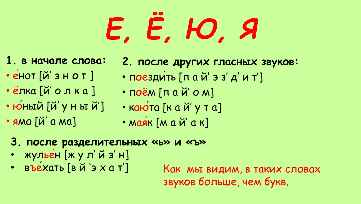 Разбор слова енот 1 класс. Енот фонетический разбор 1 класс. Фонетика енот. Енот фонетический разбор 2 класс. Яма количество звуков