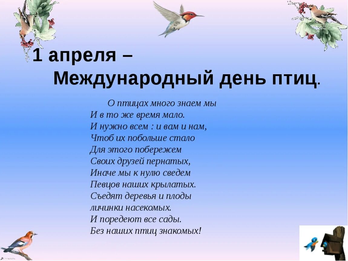 Праздник птиц 1 класс. Стихи про птиц для детей. день птиц стихи. 1 апреля международный день птиц. красивое стихотворение про птиц.
