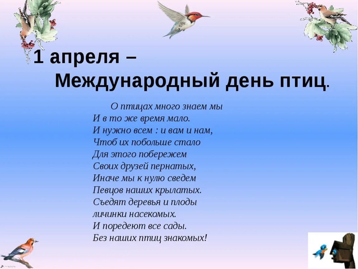 День птиц в детском саду презентация. Стихи про птиц для детей. День птиц стихи для детей. Красивое стихотворение про птиц. Стихи про птиц для малышей.