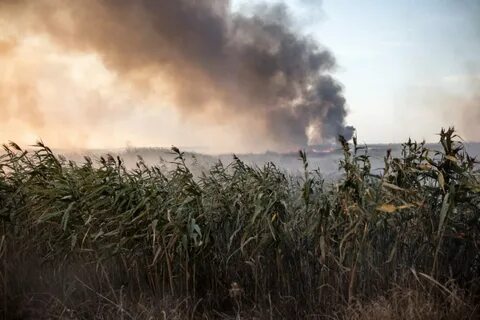 Погода в могукоровке