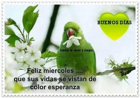 Feliz Miércoles Buenos Días Archives - Página 9 de 10 - BonitasImagenes.net