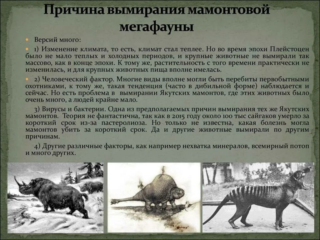 Есть несколько версий