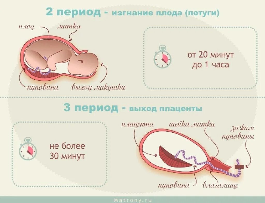 Срок рожать а схваток нет. Второй период родов начинается. Схема схваток при родах.