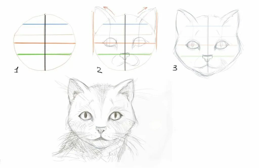 Как нарисовать катнапа. Поэтапный рисунок кошки. Поэтапное рисование кота карандашом. Кошка рисунок поэтапно. Рисунок кошки пошагово карандашом.