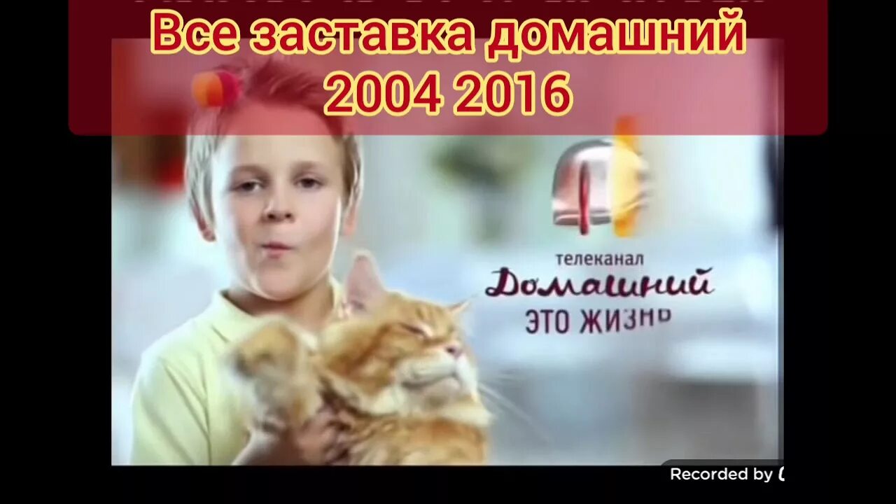 Телеканал домашний реклама. Сегодняшняя реклама на домашнем. Домашний канал. Телеканал домашний реклама заставки. Сегодняшняя реклама на домашнем.