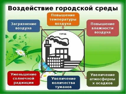 Экологическое воздействие это