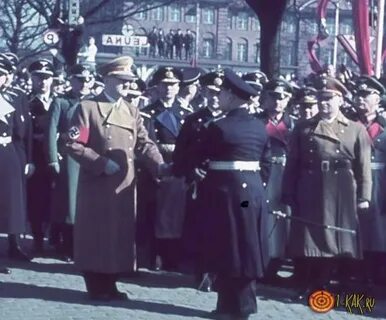 Почему немцы евреев