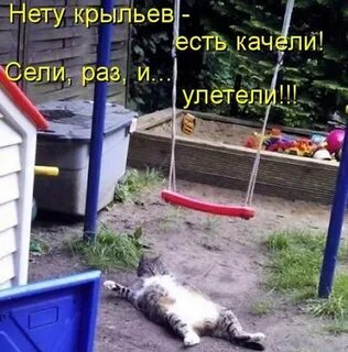 Раз сядем