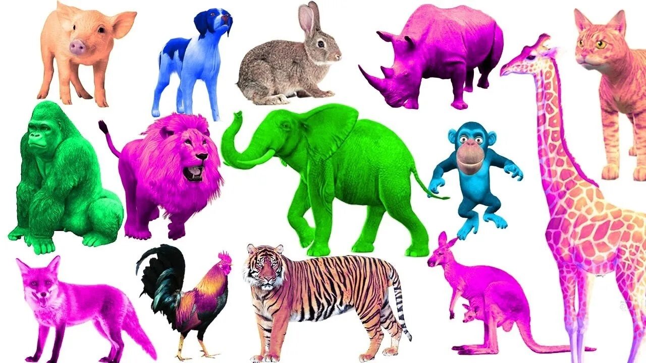 More animal colors. Colors dinosaurs vs animals finger family nursery. фингер фэмили колорс. finger family animals. дэдди фингер животные.