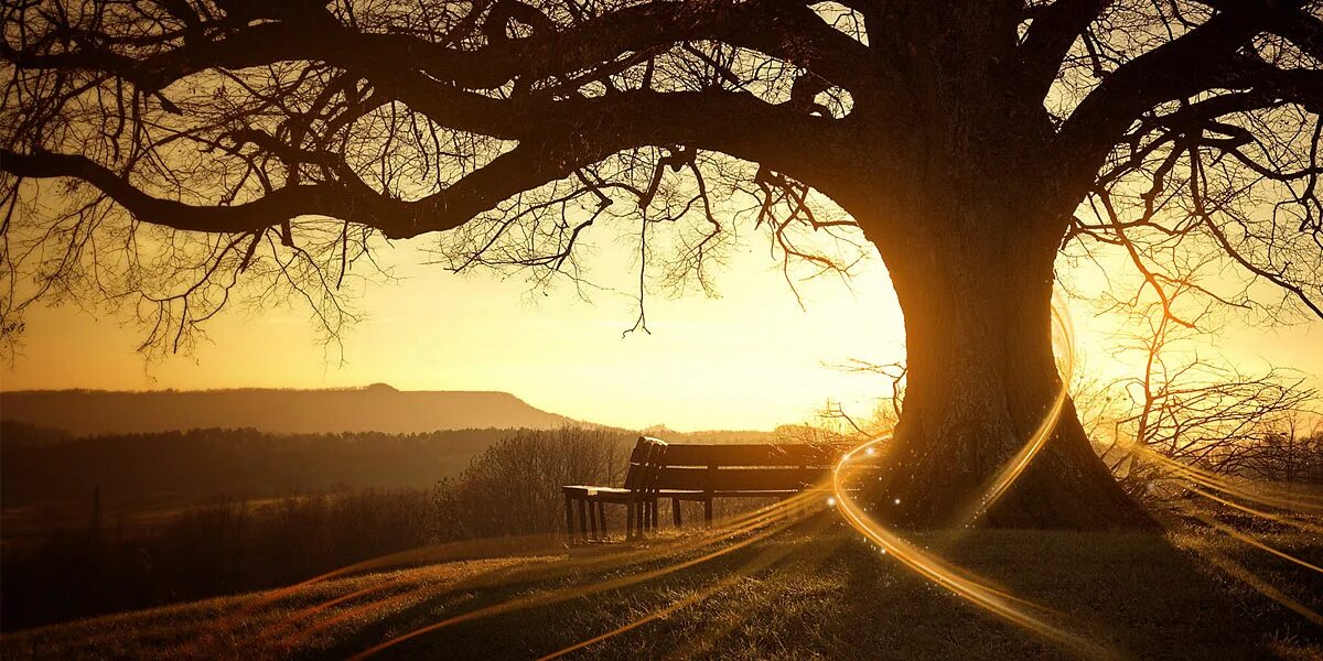 There is no light игра. Hypetrain digital. There is light in the. Игра there is no light (2022). There is light in the.