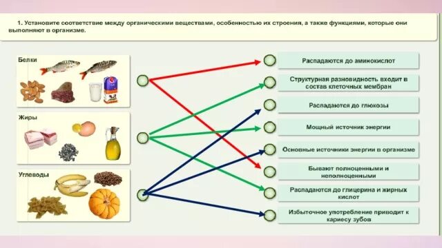 Белковый жировой и углеводный обмен. Белковый жировой углеводный солевой и Водный обмен. Белковый липидный углеводный обмен. Обмен веществ. Белковый, углеводный, жировой, водно-солевой обмен. Обмен белков, жиров, углеводов, водно-солевой обмен..