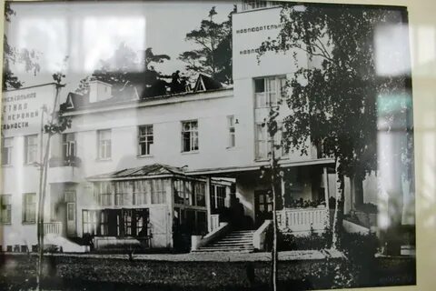 Старые колтуши