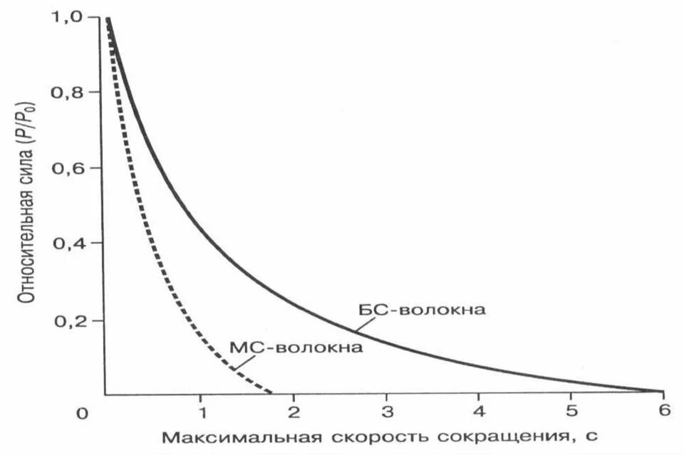 Мышечная скорость. Зависимость силы сокращения от скорости мышечного сокращения. зависимость сила скорость мышечного сокращения. мощность мышечного сокращения. график зависимости силы сокращения мышц от скорости.