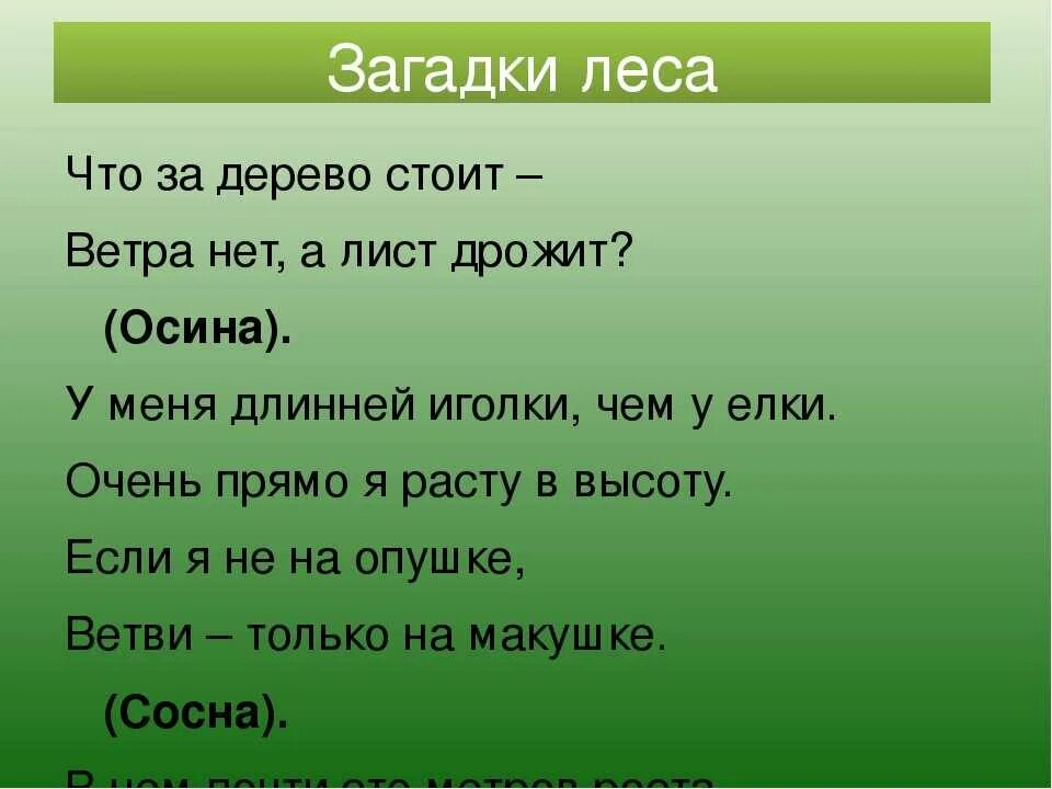 Загадки про лес. Загадки про лес с ответами. Загадки для детей про деревья леса. Загадка с отгадкой лес.