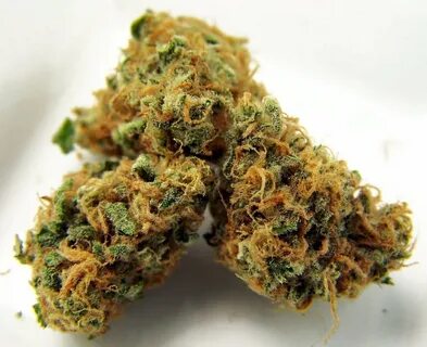 Pineapple express